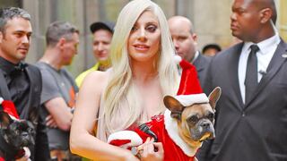 Lady Gaga: Hombre que robó los perros de la cantante es sentenciado a 21 años de prisión