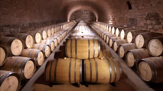 Líquidos Placeres: “Petit CARO, gran vino argentino”