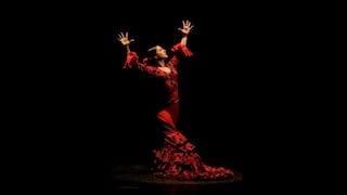 Flamenco y Punto: Esta semana empieza el festival [FOTOS]