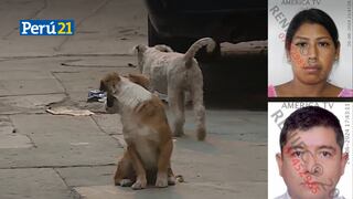 ¡Salvaje! Hombre agrede brutalmente a embarazada que defendía perritos callejeros y la deja grave