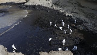 “Rara vez se puede recoger más del 25% del total de crudo derramado”, asegura representante de Oceana 