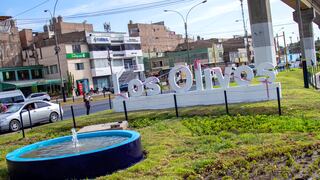 Los Olivos: Inauguran obras de sembrado de toda la avenida Angélica Gamarra