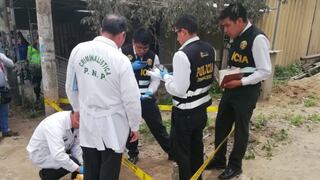 Ni Una Menos: Mujer fue asesinada por su acosador en Villa María del Triunfo [VIDEO]