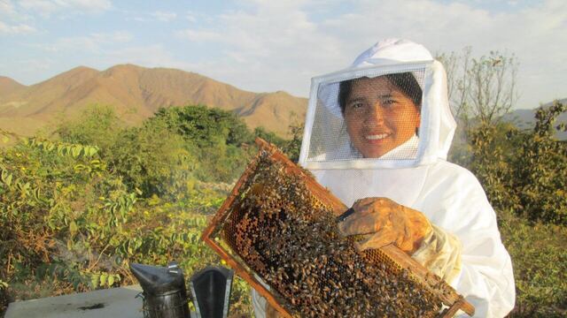 Blanca Uriol, productora: “La miel es un alimento que es muy adulterado”