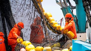 Produce: Desembarque pesquero alcanzó 812.8 mil toneladas en noviembre