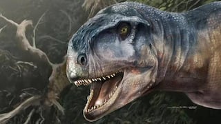 Argentina: científicos hallan una nueva especie de dinosaurio carnívoro en la Patagonia