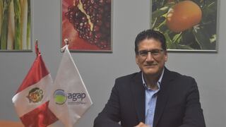 Gabriel Amaro: “El próximo año somos sede de APEC”