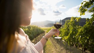 Ica: Once 'Masters of Wine', especialistas en vino, visitarán nuestro país