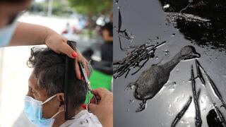 ¿Cómo puede el cabello humano mitigar el daño en el derrame de petróleo?