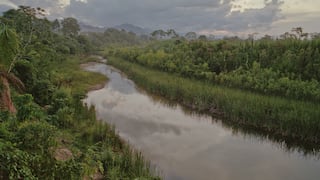 [Opinión] Juan Manuel Benites: “El pacto por la Amazonía: un llamado urgente a la acción”