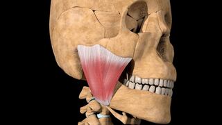 Si advierte crujidos en la articulación o  dolor en la mandíbula, visite a su médico