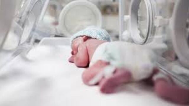 Expertos afirman que el aumento de anemia llevará a más partos prematuros