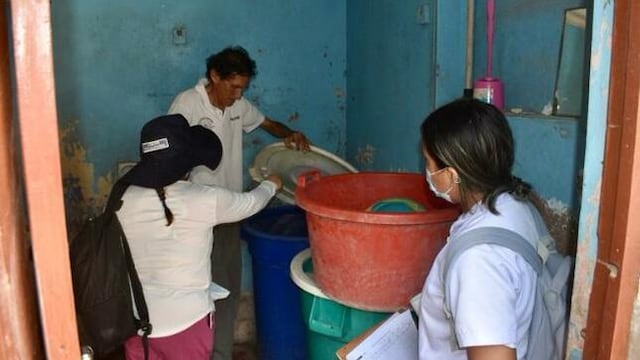 Dengue: Inspeccionan 11,000 viviendas para control larvario en Villa María del Triunfo