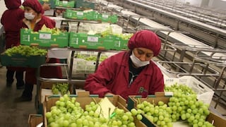 Agroexportaciones sumaron más de US$ 3,620 millones entre enero y mayo de este año, informó el Midagri