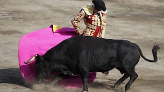 Los argumentos en el Tribunal Constitucional que validaron las corridas de toros