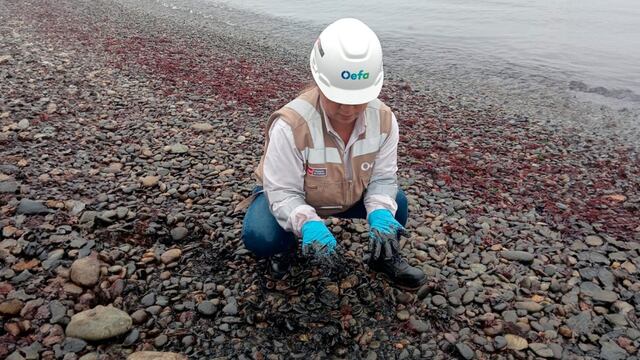 Derrame de petróleo en el Callao: Autoridades cierran las playas por emergencia | VIDEOS