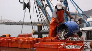 Desembarque de recursos pesqueros superó niveles prepandemia en 2021 con 6.5 millones de toneladas