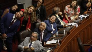 Adelanto de elecciones: ¿Los congresistas de Perú Libre han leído la Constitución?