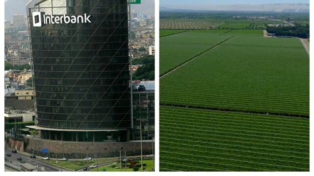 Interbank diseñó marco de financiamiento sostenible para promover la transición sostenible en sus clientes