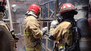 Surco: bomberos y serenos sofocaron siniestro en un cuarto piso y rescataron a varios animales