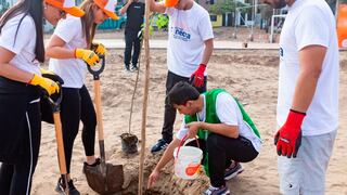 Primax planta 120 árboles en Villa el Salvador