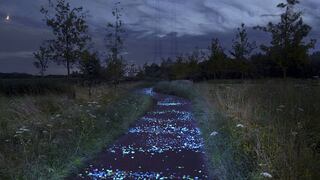 Van Gogh: Su 'Noche Estrellada' inspira innovadora ciclovía en Holanda [Fotos]