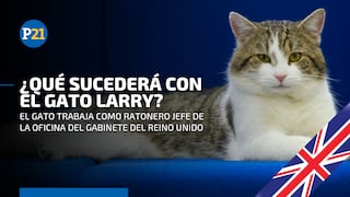 El futuro de Larry, el gato que trabaja para el Gobierno del Reino Unido