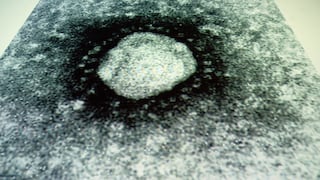 Coronavirus: qué es y todo lo que debes saber sobre este mortal virus de origen chino