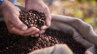 EXPOCAFÉ: Compromisos ambientales del café, avances en Colombia y situación en Perú
