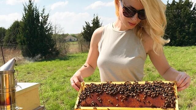 Esta apicultora salva a una colmena de abejas que estaban atrapadas en una lavadora