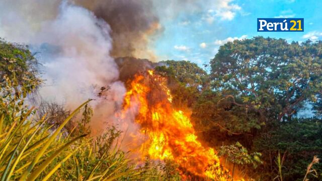 Cusco: Incendio forestal arrasó con más de 600 hectáreas de pastizales (VIDEO)