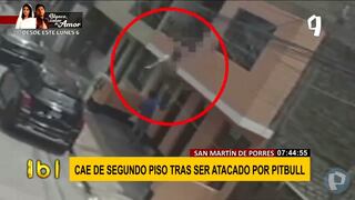 San Martín de Porres: hombre cayó de segundo piso al evitar ser atacado por un perro  | VIDEO