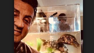 Sylvester Stallone conservó las tortugas que le regaló a Adrian en 'Rocky I'