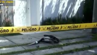 Gripe aviar: pelícano muere en puerta de casa en San Isidro y propietaria no sale por nueve horas por temor a contagio 