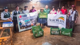 Agro Rural refuerza conocimientos de 508 productores dedicados a la crianza de cuyes en la región Apurímac