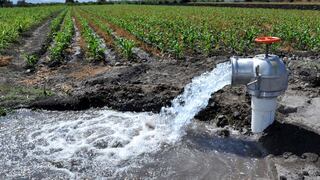 Agricultura y producción de alimentos representan el 70% de consumo mundial de agua 