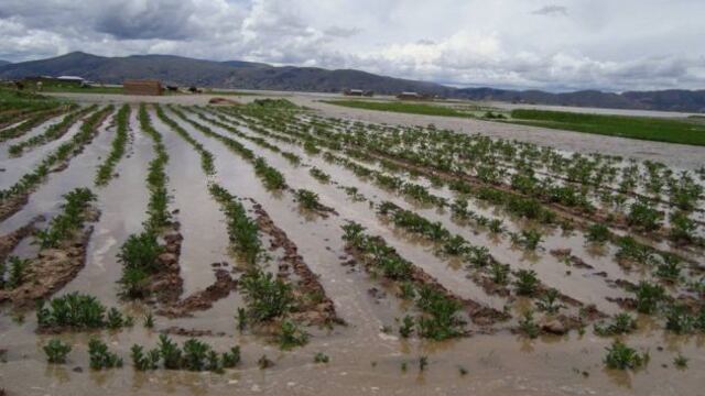 Fenómeno El Niño: Proyectan que PBI del Perú crecerá apenas 2.8% en 2016