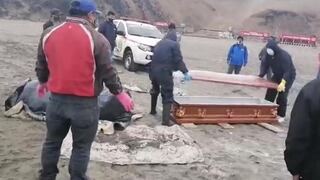 Cañete: encuentran cadáver de pescador que desapareció tras caer en peñascos