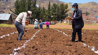 Midagri despide a nueve funcionarios de Agro Rural tras escándalo por compra de fertilizantes