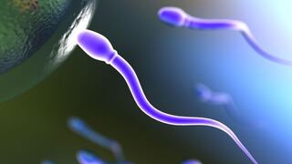 Dinamarca pone límites a la donación de esperma