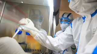 Australia comienza pruebas preclínicas de dos vacunas contra el coronavirus