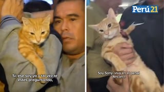 ¡Es inocente! Gatito fue hallado durante una requisa en el penal Ancón 1 [VIDEO]