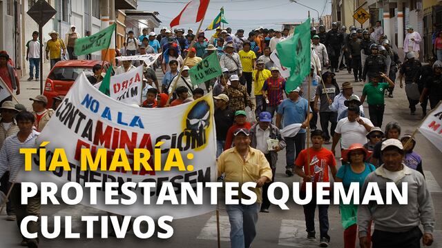 Helbert Gaspar Salmavides: Protestantes en contra proyecto Tía María queman cultivos de azucarera Chucarapi