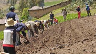 Gremios empresariales sobre ley agraria: “Las remuneraciones no se pueden fijar por ley”