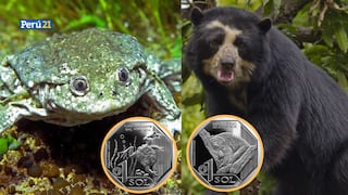 Conoce las monedas alusivas a las especies en peligro de extinción en el Perú 