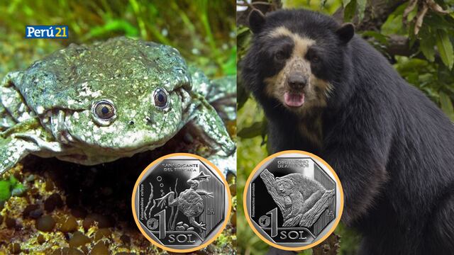 Conoce las monedas alusivas a las especies en peligro de extinción en el Perú 