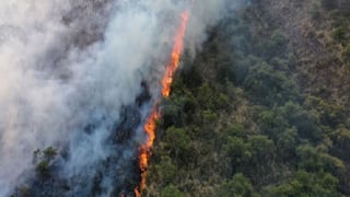 Cusco: pondrán en marcha plan para recuperar más de 2 mil hectáreas arrasadas por el fuego