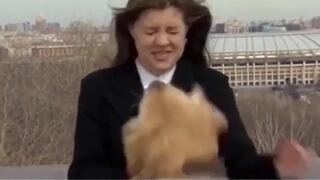 Un rayo de travesura: Perrito se vuelve viral en Rusia luego de robarle el micrófono a una periodista [VIDEO]