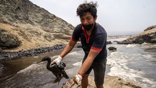 Derrames de petróleo en Perú: Exposición fotográfica mostrará los daños al medio ambiente en los últimos 25 años 