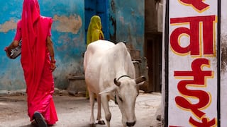 Linchan a musulmán en el oeste de la India por alimentar vacas
